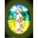 CD / 音羽-otoha- / platinum anthem (CD+Blu-ray) (完全生産限定盤) / KSCL-3612