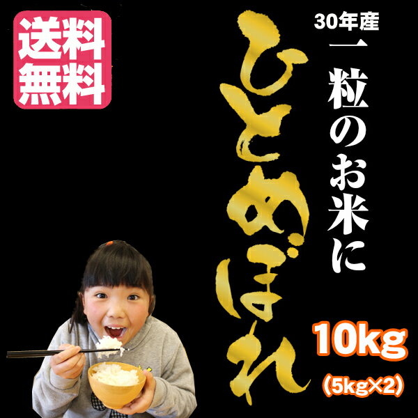 人気ランキング第49位「野菜 玉子 は 岩手 ぞっこん広場」口コミ数「1件」評価「5」【2023年度産】お米 10kg 生産者の顔が見える ファーム菅久さんちのこだわりの 減農薬 お米（令和5年産 岩手県産 ひとめぼれ）10kg（5kg×2）【送料無料】