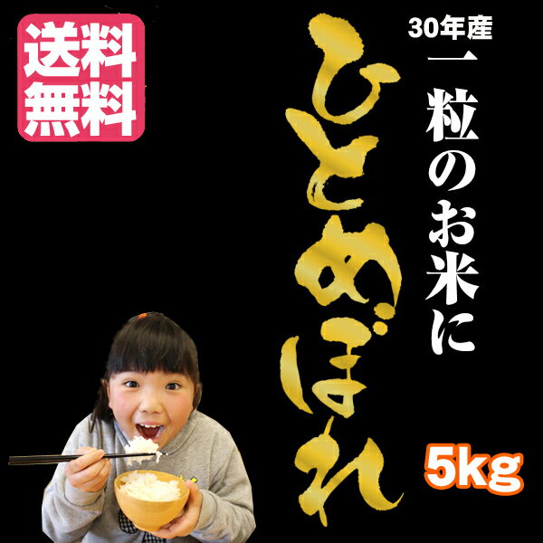 人気ランキング第47位「野菜 玉子 は 岩手 ぞっこん広場」口コミ数「1件」評価「5」【2023年度産】【送料無料】生産者の顔が見える ファーム菅久さんちのこだわりの 減農薬 お米（令和5年産 岩手県産 ひとめぼれ）5kg