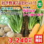 岩手 野菜セット 7種 (11〜13個入ります)【送料無料】産直 お土産 雪下にんじん 菌床しいたけ ごぼう 小松菜 など 季節【旬】野菜 の たっぷり セット