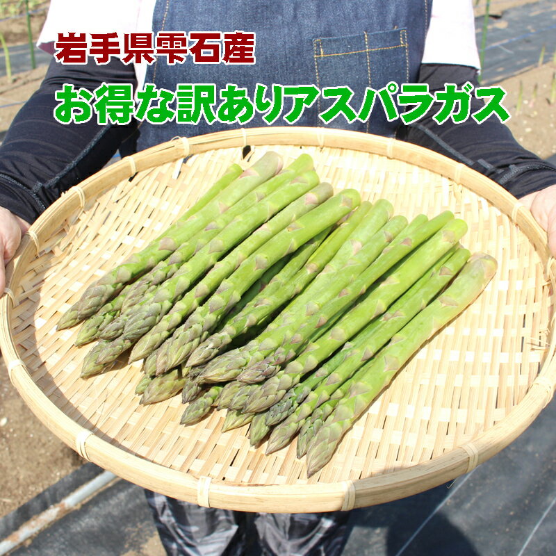 2024ǯͽ󳫻ϡۡM2L̵ۡA ꡼󥢥ѥ饬1kg500g2ޡ˥M2L ...