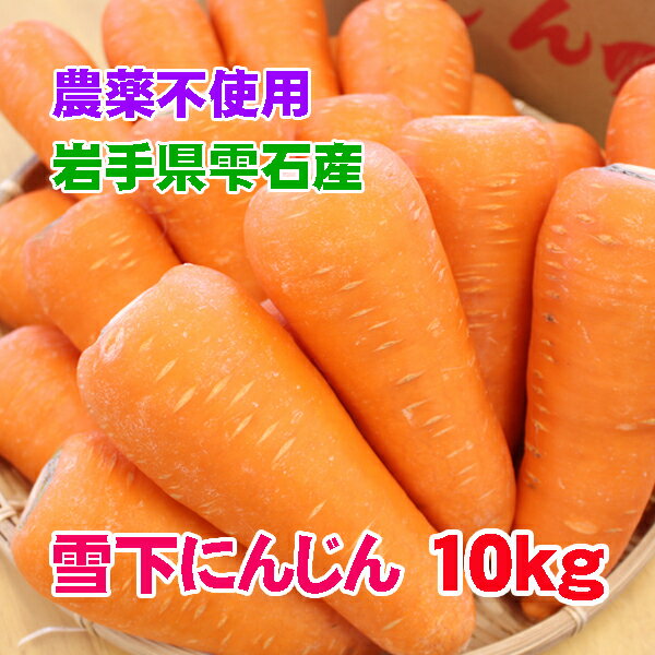【送料無料】無農薬 雪下人参10kg 訳あり 規格外品 にんじんジュース 岩手県 雫石産のサムネイル