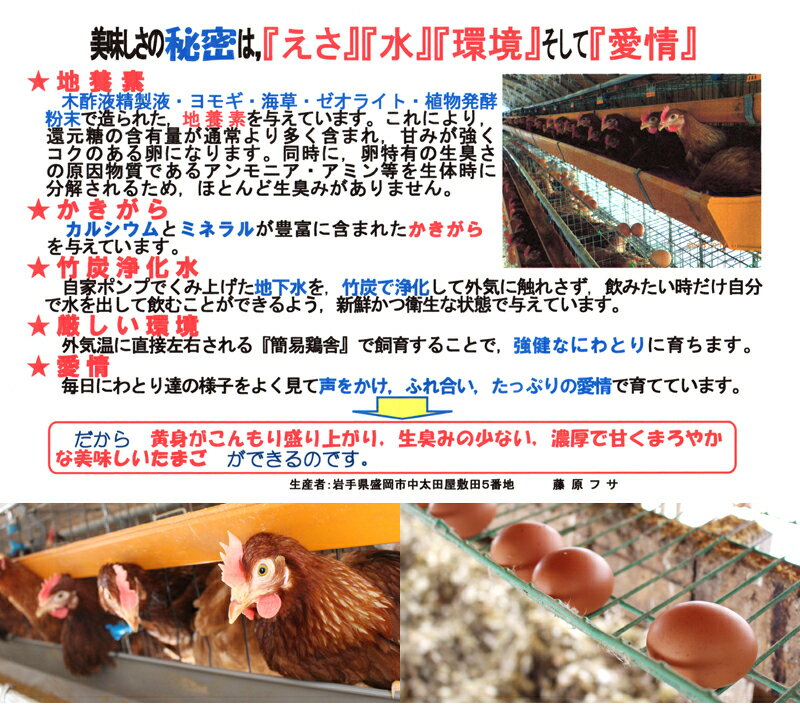 【送料無料】地養素 いきいきたまご40個入り 赤玉 M〜Lサイズ【割れ防止紙パックケース】 卵 岩手県産 新鮮 地養卵【日本郵便】