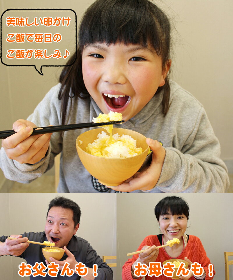 【送料無料】地養素 いきいきたまご40個入り 赤玉 M〜Lサイズ【割れ防止紙パックケース】 卵 岩手県産 新鮮 地養卵【日本郵便】