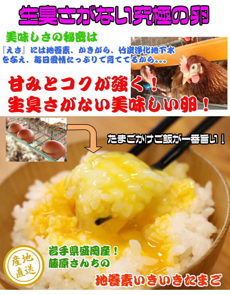 【アローカナ】青いたまご 幸せを呼ぶ【玉子】6個入り×2パック 【地養素 いきいきたまご】赤玉 Lサイズ 10個入り×2パック の食べ比べセット 【アローカナ】青いたまご 幸せを呼ぶ【玉子】6個入り×2パック 【地養素 いきいきたまご】赤玉 Lサイズ 10個入り×2パック の食べ比べセット