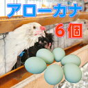 商品説明名称 鶏卵（アローカナ）（生食用） 内容量アローカナ6個 産地名国産（岩手県） 選別包装者たまご生産者（藤原 フサ）賞味期限 製造年月日（出荷日）より14日間 保存方法商品到着後に冷蔵庫にて保管下さい。 使用方法 生食の場合は賞味期限内に使用し、賞味期限経過後は十分加熱調理してください。【送料無料】岩手 の自然とアフリカの自然が生み出した こだわりのタマゴをお取り寄せ！