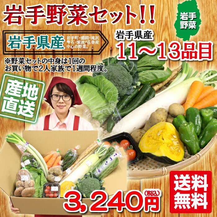 【雪下大根・雪下人参入り】野菜セット 減農薬・農薬不使用 岩手 産直 11〜13品 【送料無料】キャベツ ほうれん草 小松菜 北あかり 菌床しいたけ 雪下大根 雪下人参 白菜 ネギ 長芋 土ごぼう など季節お買い得価格の たっぷり セット 岩手 お土産