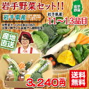 【送料無料】 きゅうり きくらげ キャベツ なす つるむらさき ピーマン ミニトマト 大根 人参など減農薬・農薬不使用 岩手 産直 11〜13品