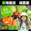 【3種類位が2個入るセットです】岩手 野菜セット 7〜9種 (11〜13個入ります) 送料無料 産直 お土産 <例>大根×2 ブロッコリー×2 ほうれん草×2 じゃがいも 椎茸 カラフル大根 ゴボウ 玉葱 ねぎ など たっぷり セット 3,240円