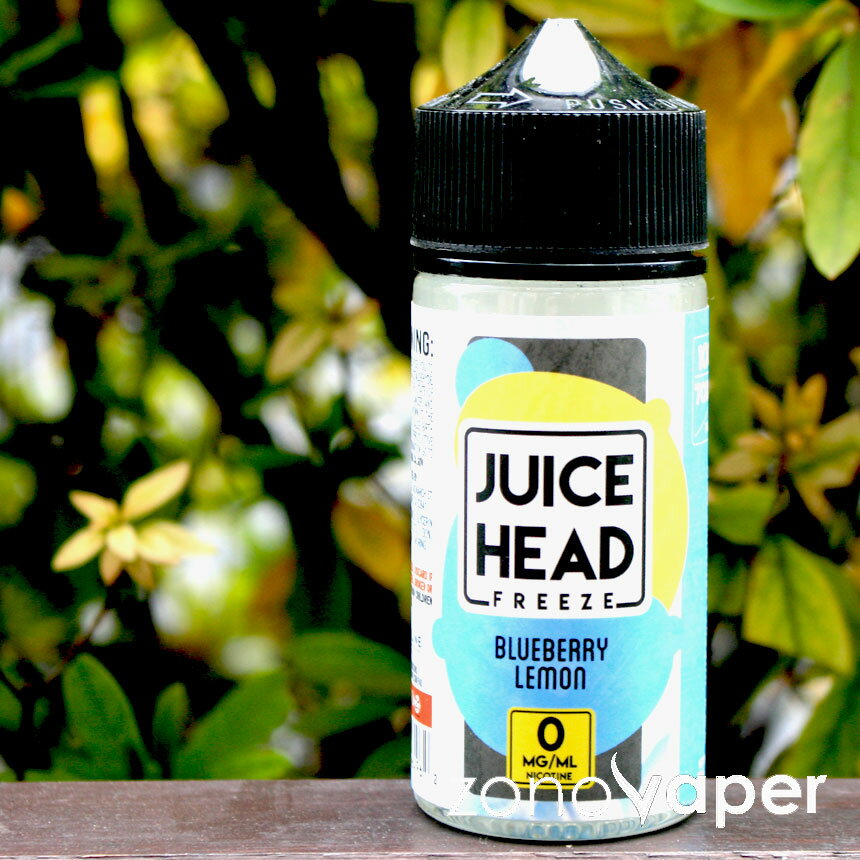 JUICE HEAD（ジュース ヘッド）Freeze BLUEBERRY LEMON 100ml 電子タバコ VAPE ベイプ