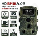電源線付き HD赤外線カメラ 防犯カメラ 3600万画素 IP66防水 1080Pビデオ 長時間待機 長時間航続 最大8ヶ月航続 盗難防止 防犯 赤外線夜視 夜...