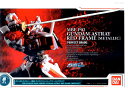 ガンダムベース限定 クリアファイル 機動戦士ガンダムSEED ASTRAY(二枚組)