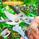 【訳あり】剪定ばさみ 剪定はさみ 枝切りバサミ 園芸用はさみ 枝きりばさみ 太い枝 庭木の剪定 庭 ガーデニング おしゃれ 錆びにくい 高厚刃使用 庭木 果樹 ...