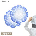 涼しさ持続 2個セット 帽子用アイスハット 28℃以下で自然凍結 ヘッドクール 保冷剤 熱中症対策 冷却 夏 まつり 花火大会 キャップ スポーツ ひんやり 暑...