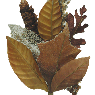 ��Ĺ��37cm�ڥե���å����ץ졼��1����*AX65029*