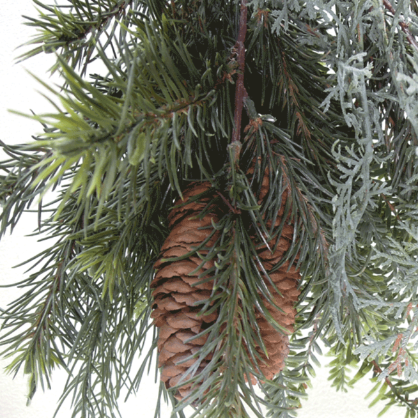 �ڥ��꡼��֡�������Ĺ48cm�ߥå����ѥ���֡��� 1737P*