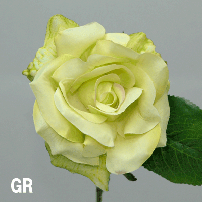 �������ԥå� 1���� 290�ߡ�¤�֡���Ĺ��28cm �������ԥå�(�ַ���10cm �⤵��5cm)FD4859