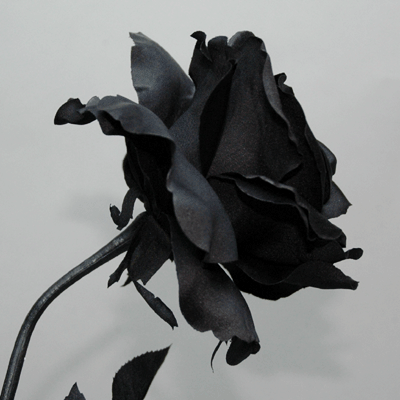 [最短出荷]黒のばら【造花】全長67cm 黒の...の紹介画像3