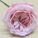 全長20cm花径約6cm【キャベッジローズピック(S)】013リーフ無しAA31281 PK
