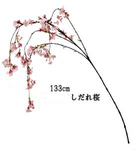 全長約116cm しだれ桜大枝(CRPK)2本枝 メーカー希望小売価格はメーカーカタログに基づいて掲載しています VOL055下がり部分：約40〜60cm　花径約1〜4cmで 1枝に色違いの花の固まり付で 綺麗な感じのよいしだれ桜の枝です。 蕾から開いた花まで、よい感じで花が付いています。 花びらはシングルタイプでグレードは高い桜の枝です 【商品サイズ】 全長：約133cm　下がり部分：約40〜60cm 花径：約1〜4cm　枝部分の長さ：約60cm 材質：ポリエステル・ポリエチレン