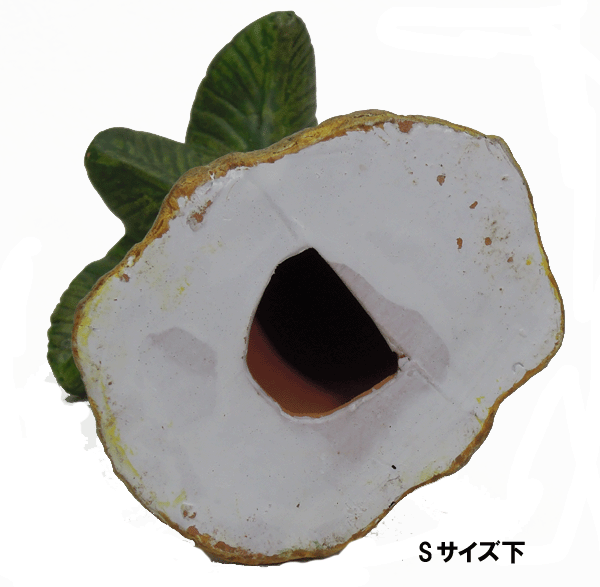 [�߸˸¤�]����ƥꥢ 1���� �⤵17cm �ޥ�󥳥��ʥĥĥ꡼(S)1���� GM-571