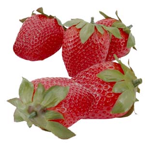 大きないちご5個入【食品フルーツサンプル】イチゴソフタタッチ ストロベリー5個入(約7×約4cm) VF-1053