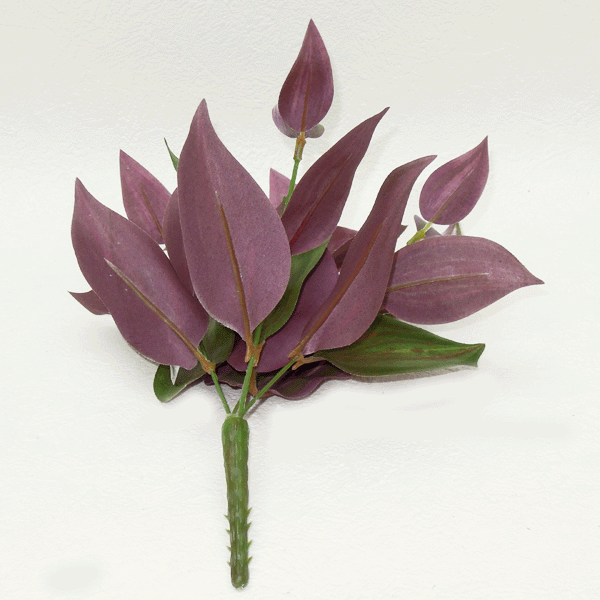 [�߸˻Ĥ�鷺��]�ڥߥ˴��աۥե��������꡼�� ��Ĺ��24cm ������󥰥��塼�֥å���(���꡼��ѡ��ץ�)asca A-42388-053P