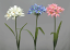 全長約64cm【アガパンサス】PK*のみFD5533-26【春の造花 アガパンサス】