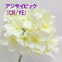 あじさい(CRYE)【造花】アジサイピック(CRYE) (全長約25cm*花径約11cm)3119-(CRYE)