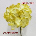 j[nChWAsbNHFAWTC(MOSGR) a߂̐F(S25cm*Ԍa12cm)-3163-MOSGR