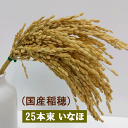 zouka:10004412のサンプル画像2