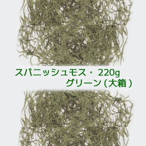 スパニッシュモス(グリーン 大袋約220g入) 大地農園 (大箱.袋入)約220g入 61063-700