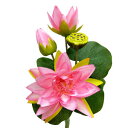 ハスの花 ピンク3輪付ロータスブッシュ(束)PK (全長約39cm 花径約9〜14cm)F3459-2