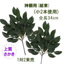 (組束)1対2束売 全長34cm 上質サカキS(組束)(小2本使用) AZ-SA-DXS 0048-2