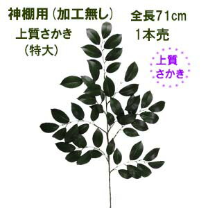 造花 枯れない榊 特大サカキ さかき 神様用 全長約71cm 上質大サカキ 1本売 003307