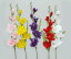 ≪即日 グラジオラス*1本/120円≫全長約60cm【小グラジオラス】*1本売*362602-23*4色*グラジオラス/花材/花資材/造花/インテリアフラワー/フェイクフラワー/シルクフラワー/仏花/お墓用/