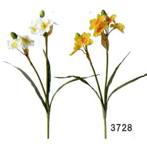 【お正月用 花材】全長約62cm 水仙(6輪付) (花径約6cm*花6輪と蕾3輪付)3728*