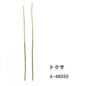 Rakuten - [即日出荷]グリーン【造花 トクサ】1本売 全長約64cm トクサ(S) A-46050