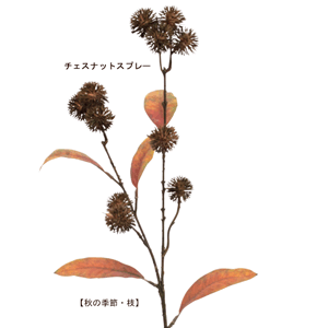 【商品サイズ】 全長：約59cm 　実の大きさ：約3.5cm リーフ：約10～12cm 　ステム部分：約9cm 材質：ポリエチレン・ポリエステル チェスナッツ（chestnut）とは、日本語で「栗」、またはブナ科クリ属の広葉樹やその木材、赤褐色（栗色）のことを指す英語です 季節商品の為 メーカー在庫が完売になる場合が御座います その際はメール等でご連絡させて頂きます