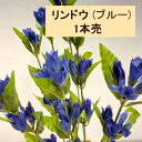 2色有ります リンドウ(BL)ブルー1本売 リンドウ(LA)ラベンダー1本売 【商品サイズ】 全長:約48cm 花の長さ：1輪約 4cm×1.5cm 素材：ポリエステル*ポリエチレン 秋には是非使っていただきたいアイテムで 秋の飾りやディスプレーに最適なお安い商品です