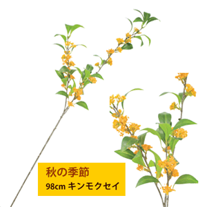 Yellow, Orange - 最短出荷 【秋の季節】96cm キンモクセイ(枝物) v25050