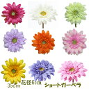 (HOTPK在庫完売) 花径6cm ガーベラショート【造花】全長35cm ショートガーベラ(花径約6cm) F3723