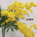 即日出荷 ミモザ【春の造花】1本売 全長約54cm ミモザスプレー 24095