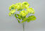 【造花 菜の花 775円】9輪付 菜の花(束)ブッシュ FLB-0855-L(全長35cm*花径7.5cm)