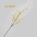 レンギョウ全長約96cm レンギョウ (花径約3.5〜5cm) R1160-V22244