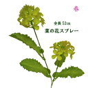 菜の花1本売 菜の花スプレー2輪付 全長52cm 花径約6cm 3355