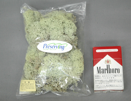 ドライ製品 グリーン【アイスランドモス(小袋)約40g入】袋売*6107-1-700 大地農園*