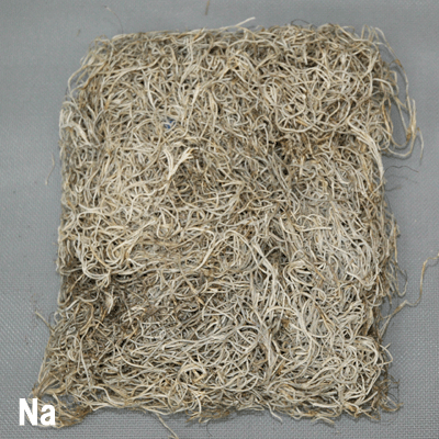 �ڥ��ѥ˥å���⥹�� (�ʥ����� ����)��50g�� �������� (����)��50g������ 61061-000