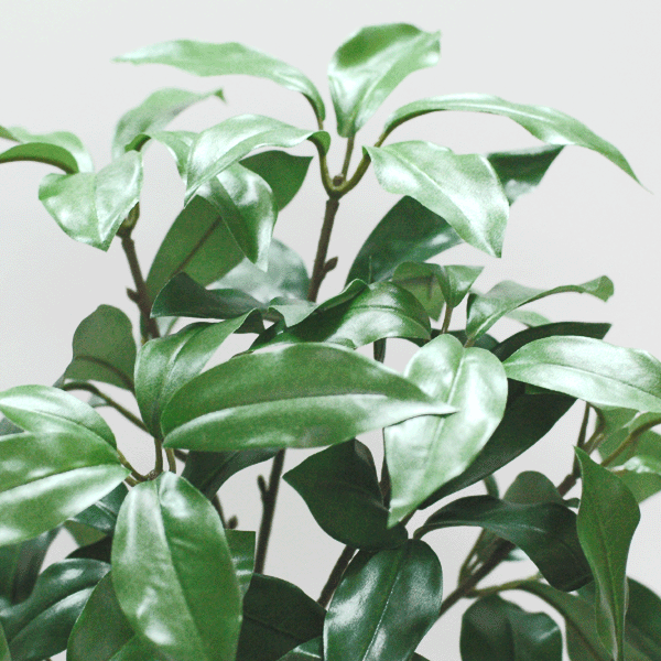 全長約65cm(中2本使用)組束しきび『1束売...の紹介画像2