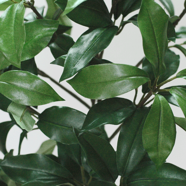 全長約65cm(中2本使用)組束しきび『1束売...の紹介画像3